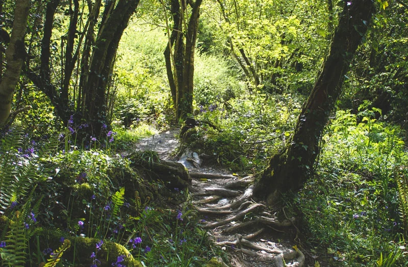 Wandern im Selketal