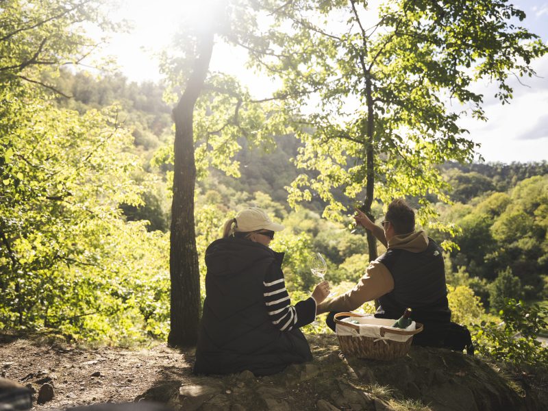 Wanderer sitzen in der Natur und schauen ins Selketal