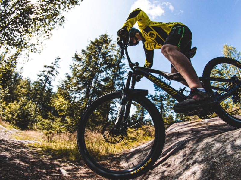 falk&frei bike falk&frei bike